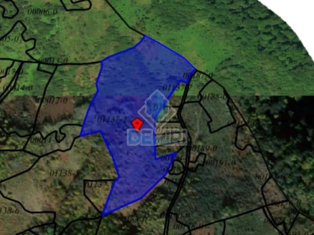 Tokë 5 hektar në shitje në Gollak, Hajkobillë
