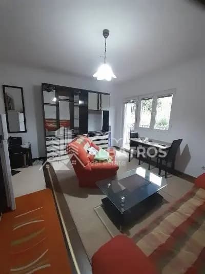 Furnished 1-Bedroom Apartment for Rent in Popovici 2