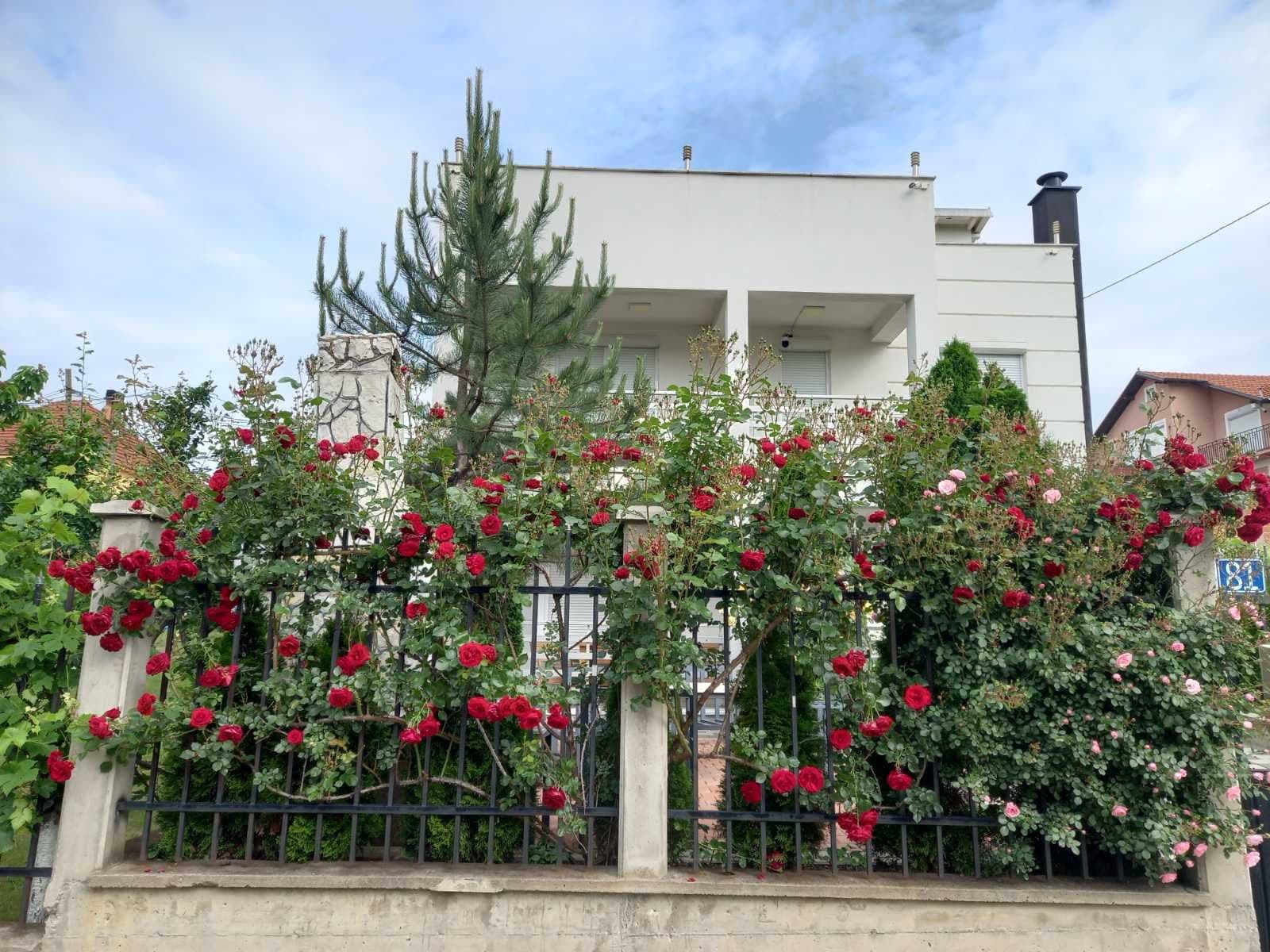 Three-bedroom family house for rent in Prishtina 1