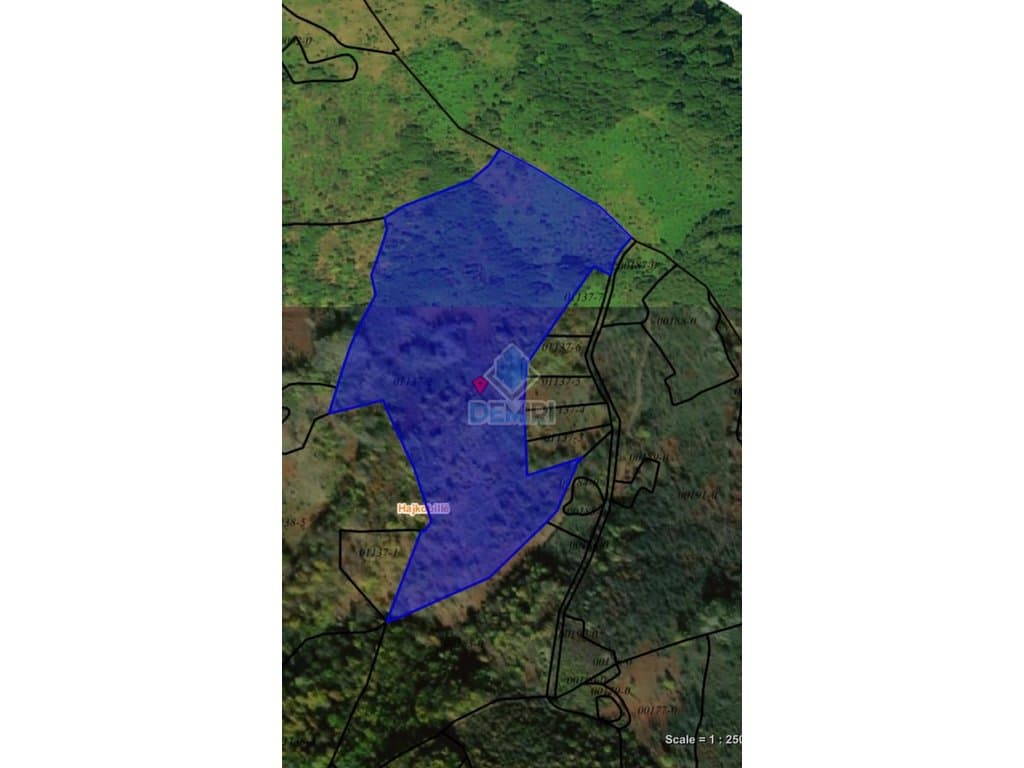 5 Hectare Land for Sale in Gollak, Hajkobillë 2