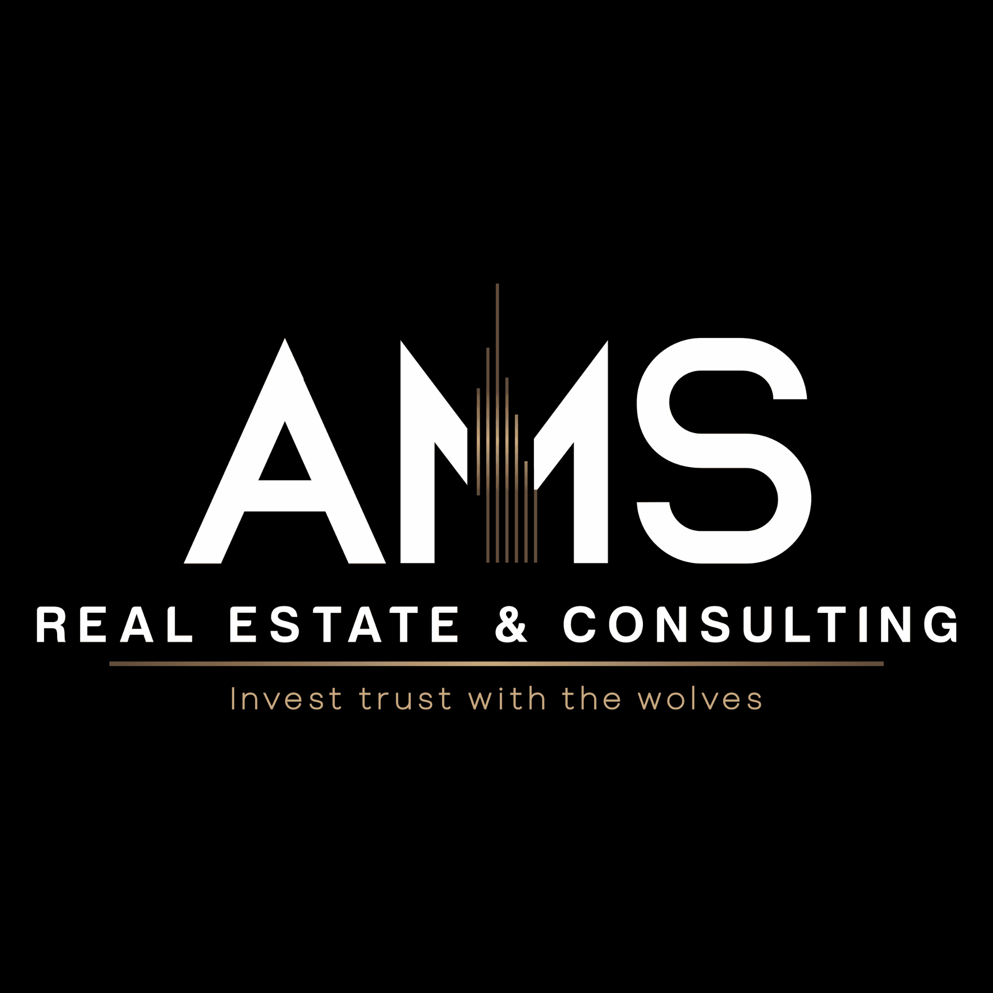 AMS Real Estate & Consulting