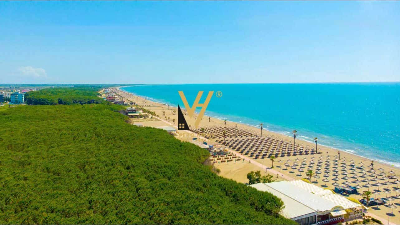 Land Of 40,000 M2 Offered At 32% In Spille